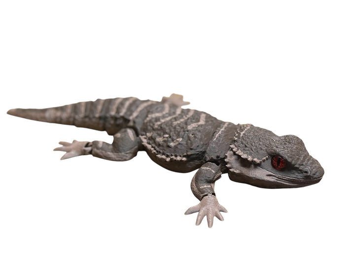 Bearded Dragon