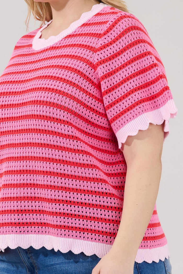 Clarie Stripe Crochet Sweater Top Curve