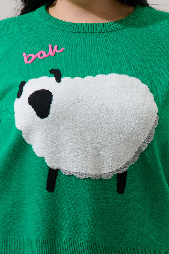 Marty Sheep Raglan Sweater Curve