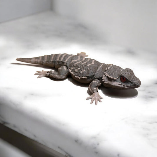 Bearded Dragon