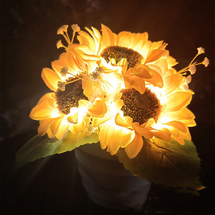Sunflowers