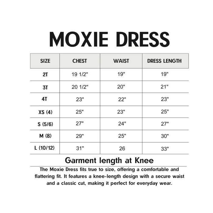 Burlebo Youth Moxie Dress - American Flags