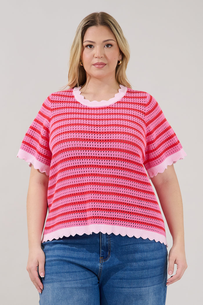 Clarie Stripe Crochet Sweater Top Curve