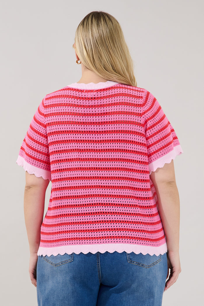 Clarie Stripe Crochet Sweater Top Curve