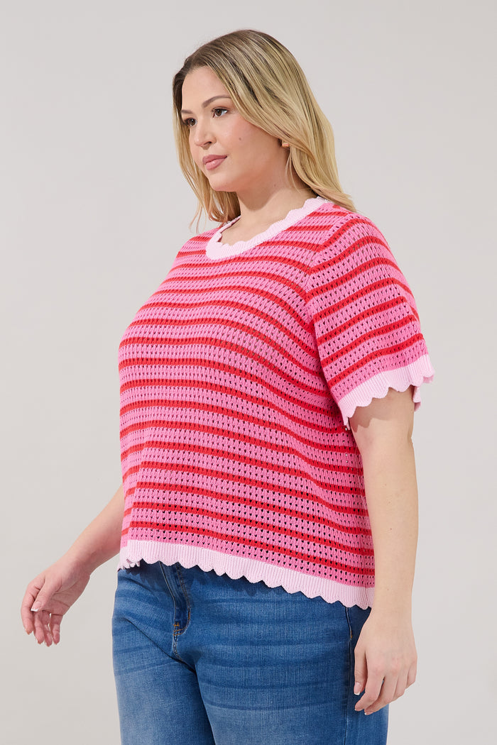 Clarie Stripe Crochet Sweater Top Curve