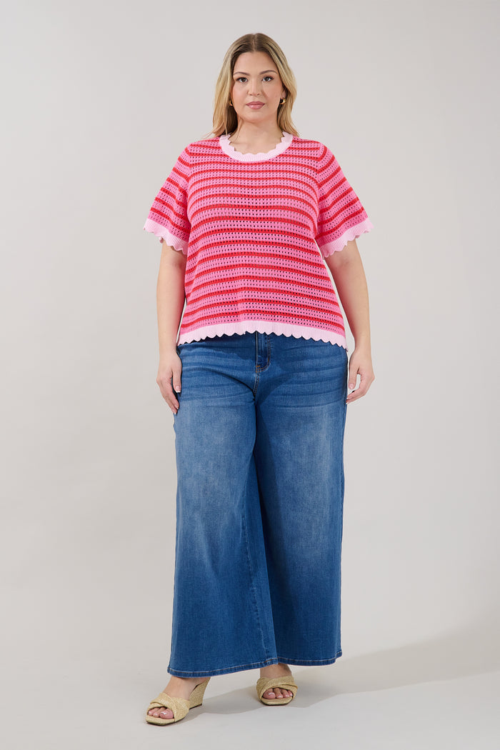 Clarie Stripe Crochet Sweater Top Curve
