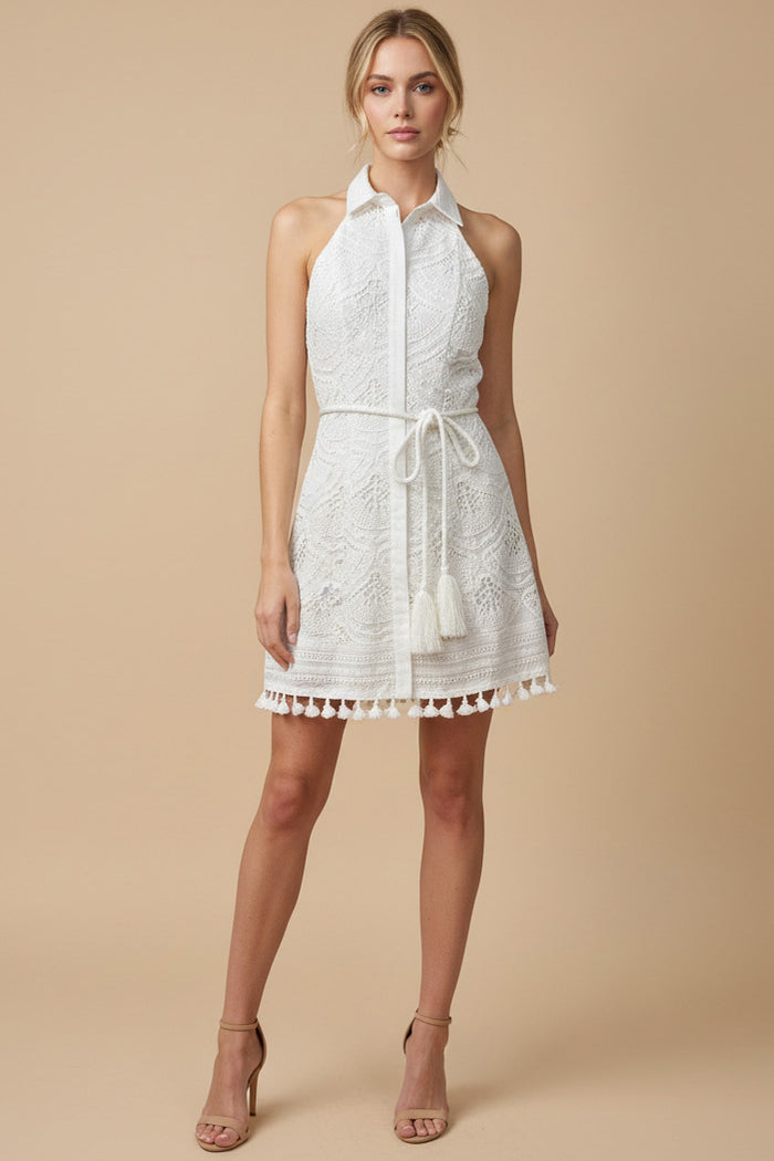 Collar Open Back Lace Mini Dress