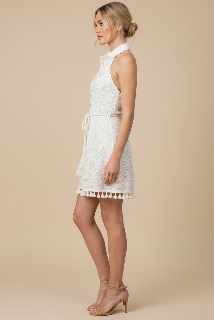 Collar Open Back Lace Mini Dress