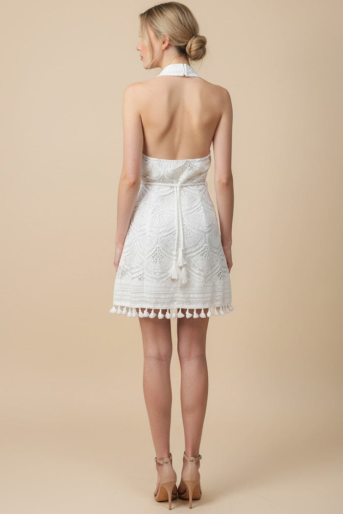 Collar Open Back Lace Mini Dress