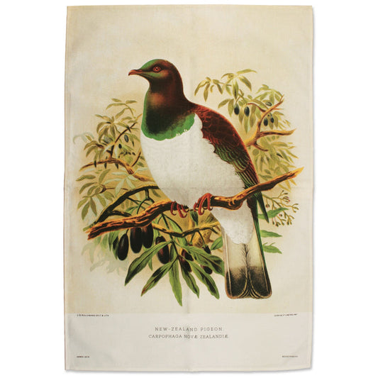 Derek Assorted Souvenir Tea Towels - Wood Pigeon (TT413)