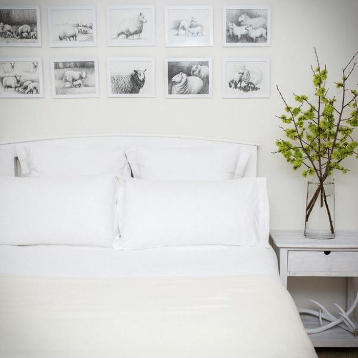 Wool white colour king wool blanket with co-ordinated stitch.