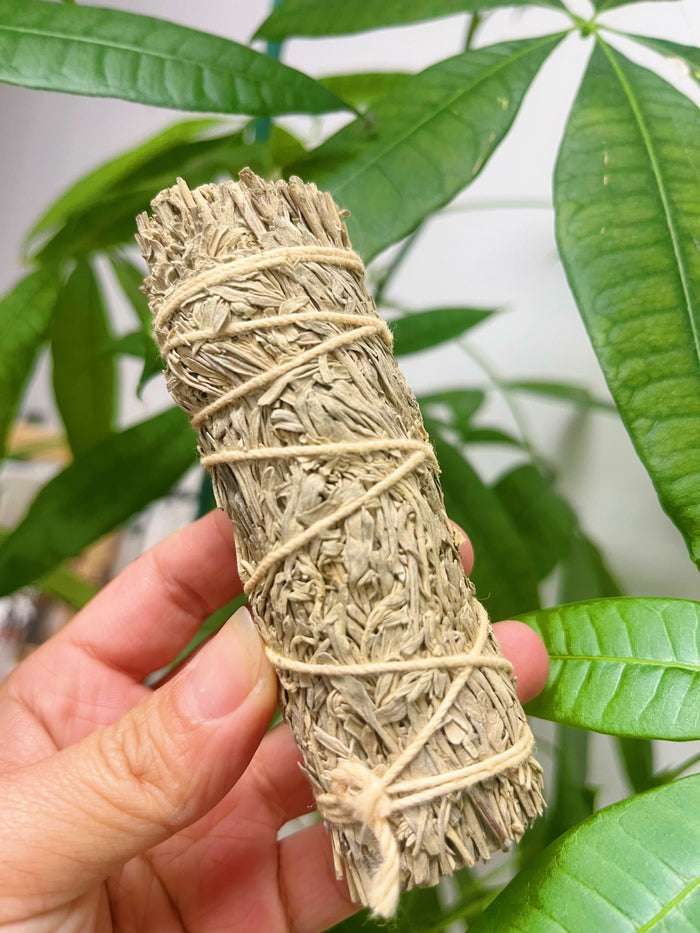 Gardenia Sage