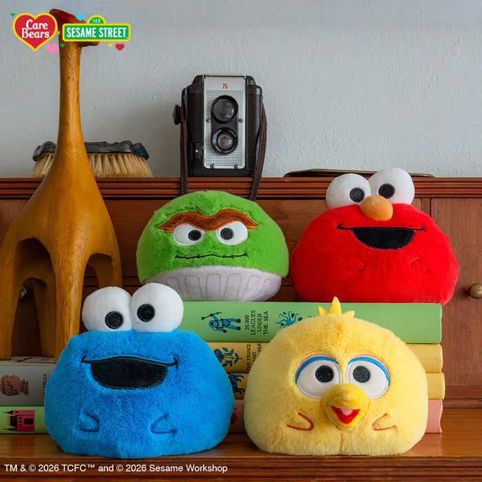 Cheer Bear & Elmo 4" Reversible Plushie, Grumpy Bear & Oscar 4" Reversible Plushie, Share Bear & Cookie Monster 4" Reversible Plushie, Funshine Bear & Big Bird 4" Reversible Plushie sitting on a shelf with books, a camera, brush, and wooden carving