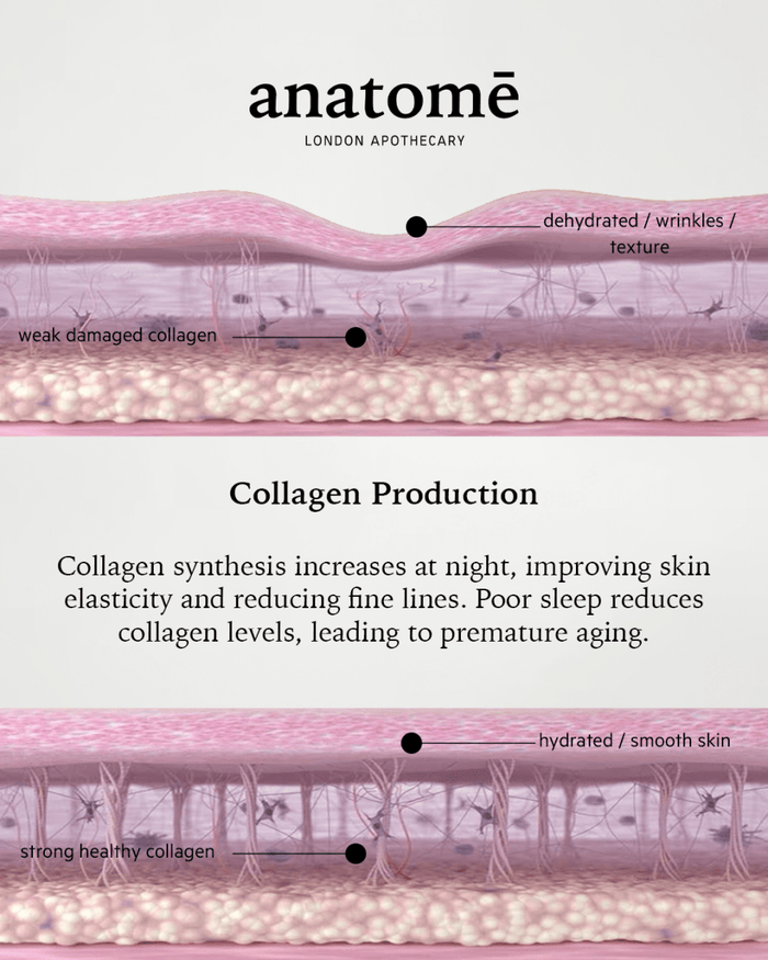 Illuminating Rose - hip, Grape Seed & Avocado Face Oil - anatomē