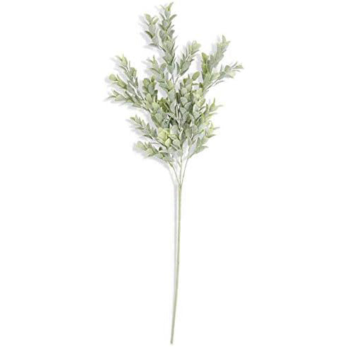 KK - 26 Inch Powdered Boxwood Stem