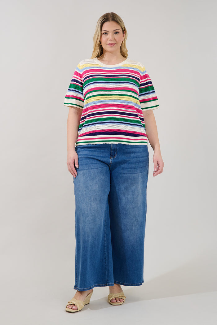 Linzia Stripe Crochet Sweater Top Curve