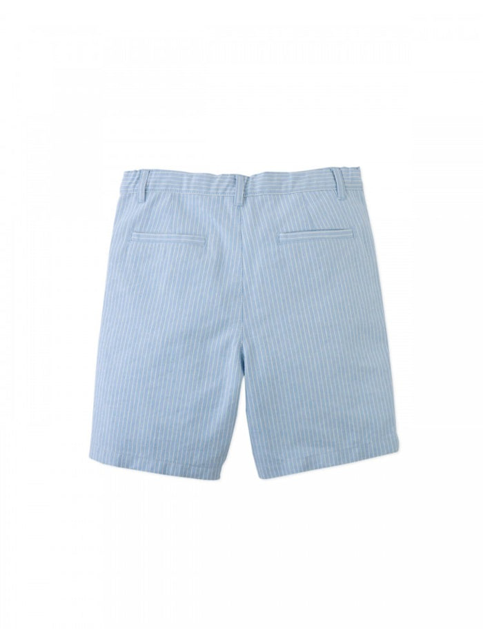 Louis Regular Fit Linen Cotton Striped Shorts