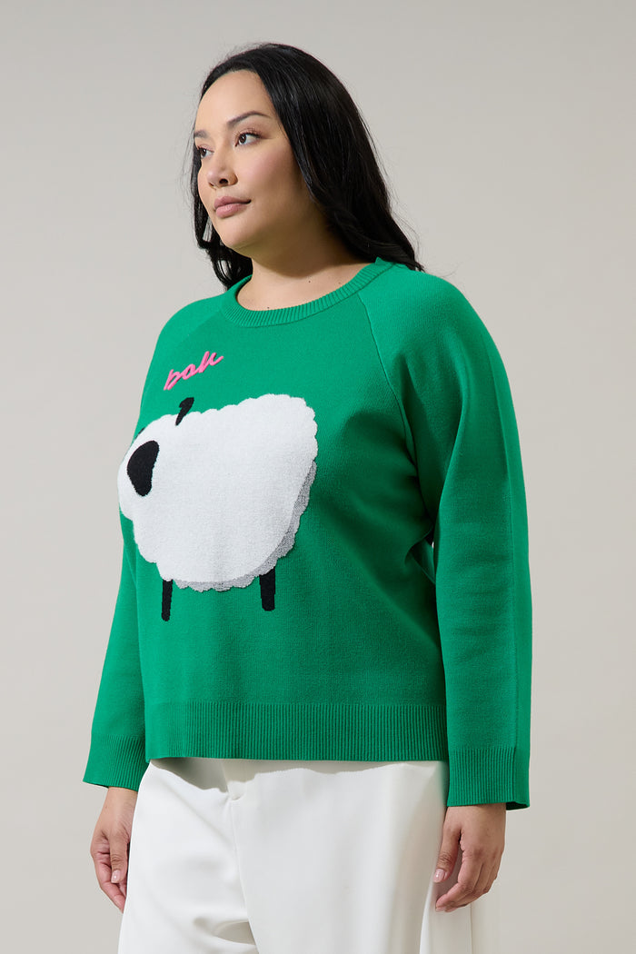 Marty Sheep Raglan Sweater Curve