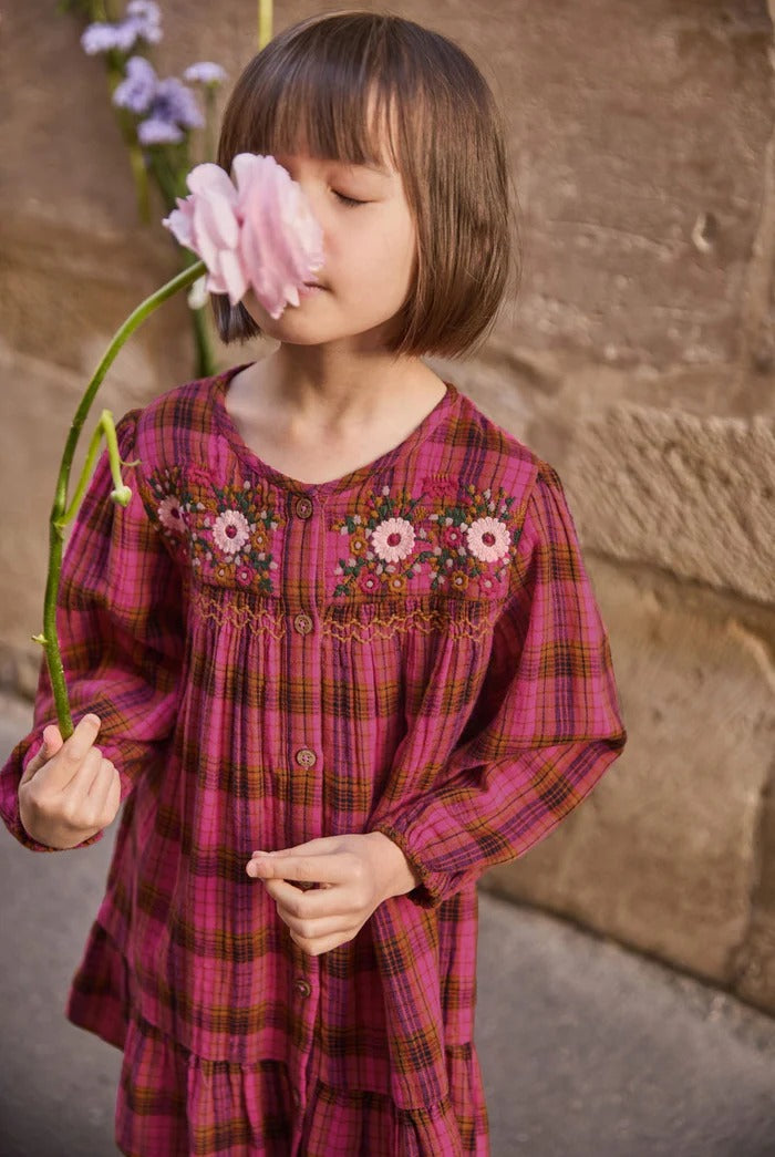 Massilia Dress Pink Alp Checks