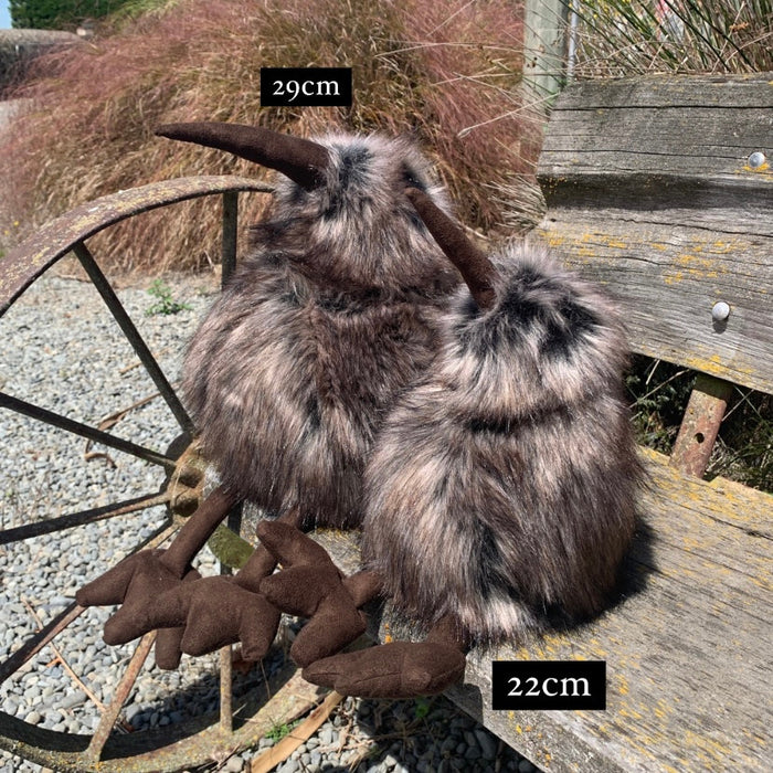 29cm and 22cm Brown Kiwis