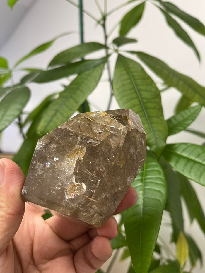 Rutile Quartz Point