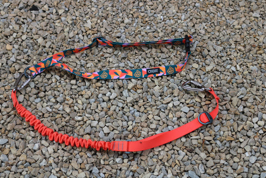 Stunt Puppy x TCM Stunt Runner Leash