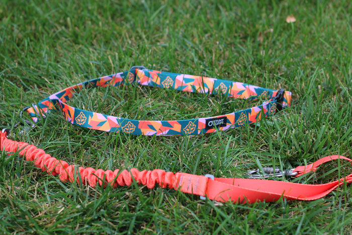 Stunt Puppy x TCM Stunt Runner Leash