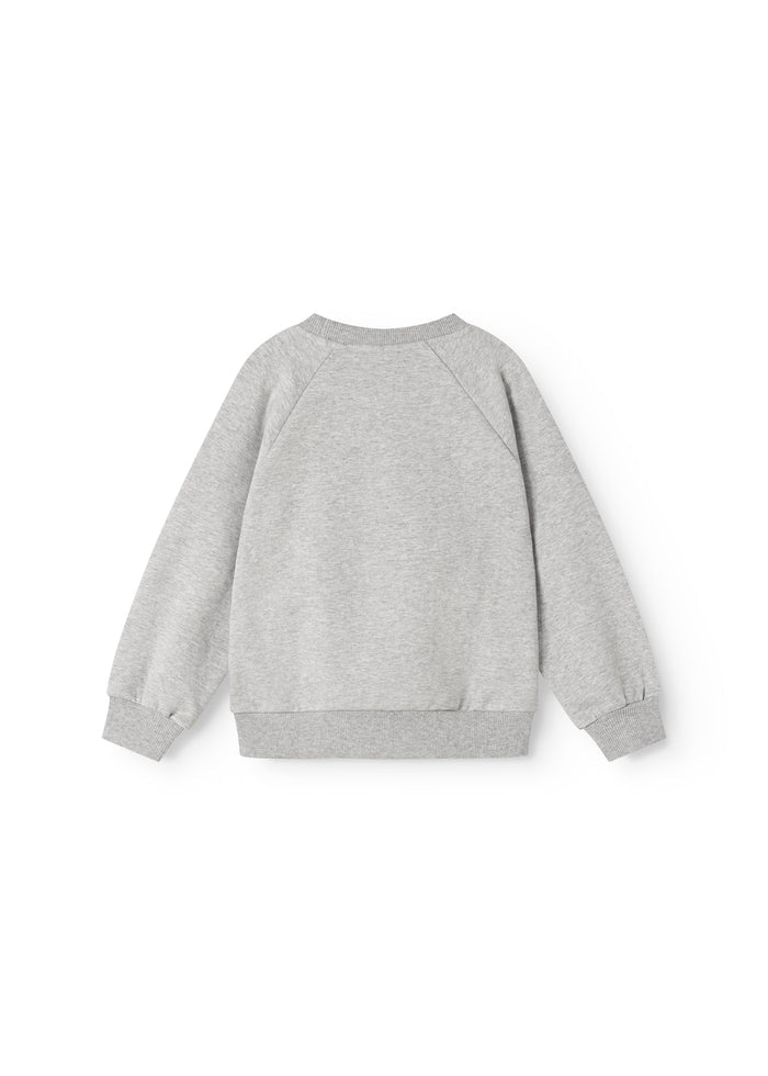 Gray sweatshirt with crew neck, long sleeves, and smooth back.